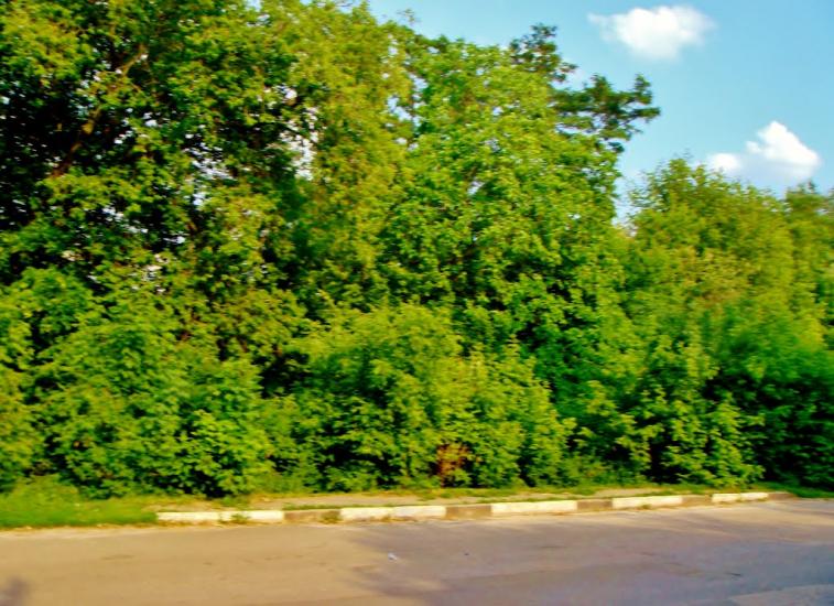 Медвин з panoramio.com - Медвин