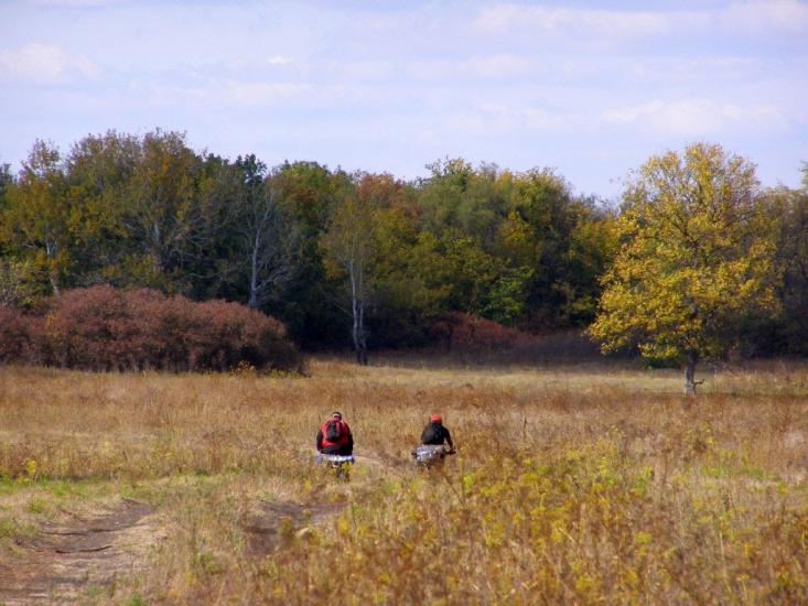 Нижнє з panoramio.com - Nyzhnye