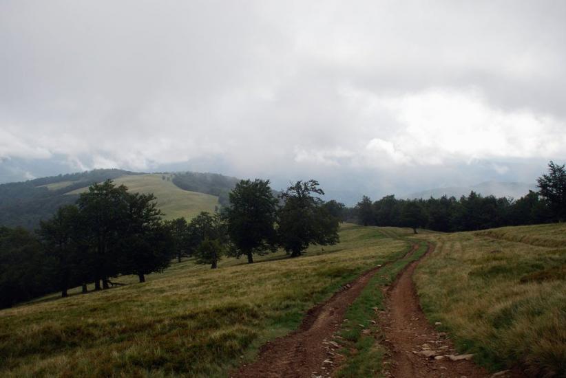 Усть-Чорна з panoramio.com - Усть-Чорна