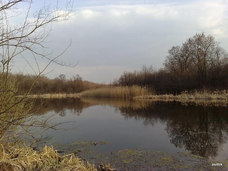 Щастя з panoramio.com - Счастье