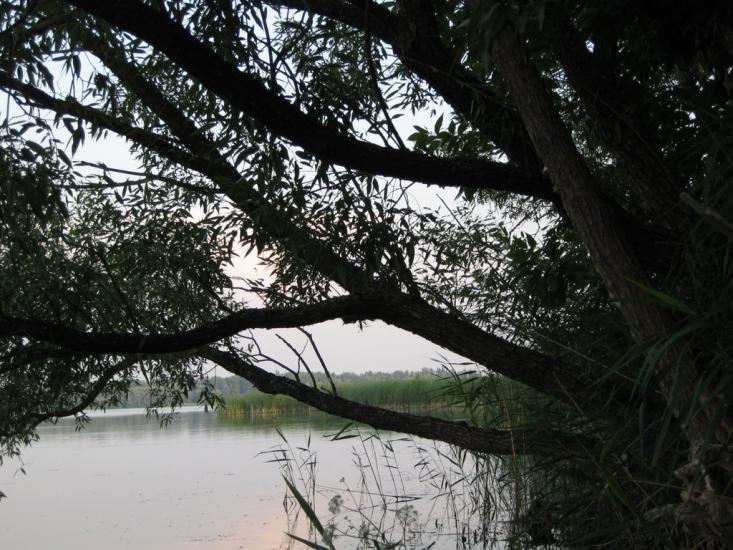 Мартове з panoramio.com - Мартово