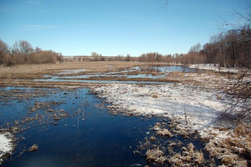 Боровеньки з panoramio.com - Боровеньки