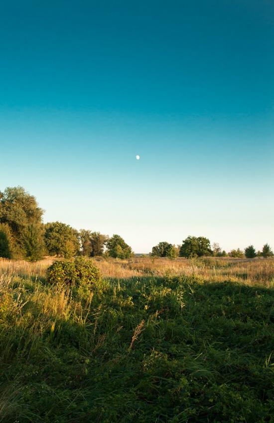 Нижча Дубечня з panoramio.com - Низшая Дубечня