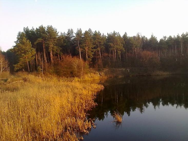 Бездрик з panoramio.com - Бездрик