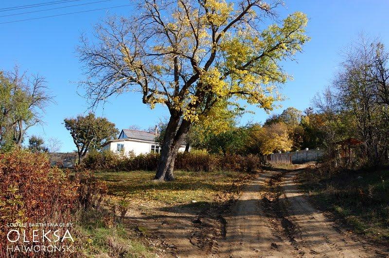 Поляна з panoramio.com - Поляна