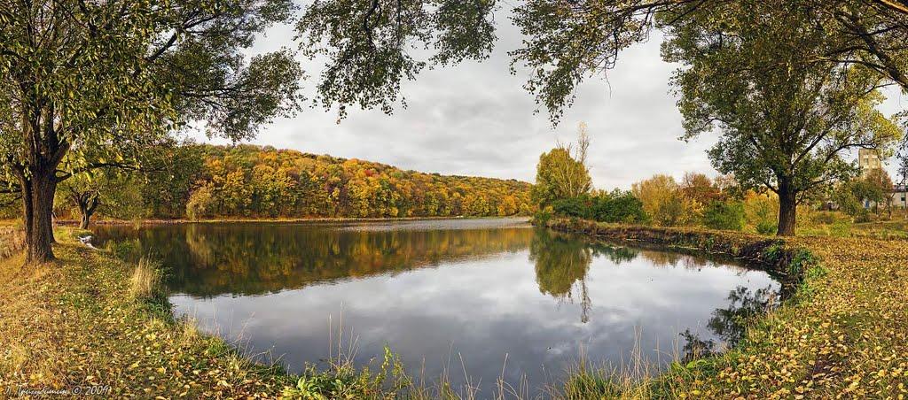 Мишковичі з panoramio.com - Мышковичи