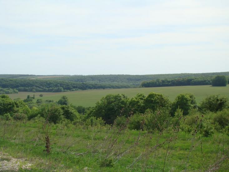 Романівка з panoramio.com - Романівка