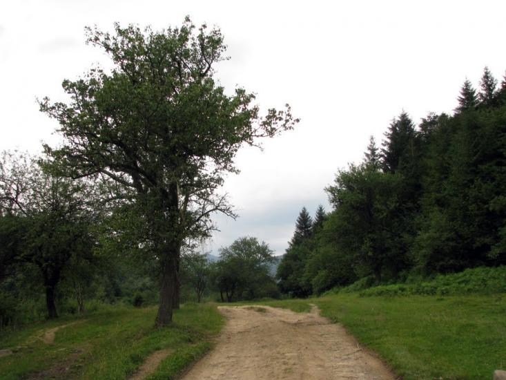 Крушельниця з panoramio.com - Крушельница