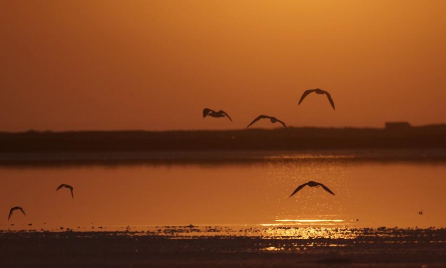 Подспор'є з panoramio.com - Подспор'є