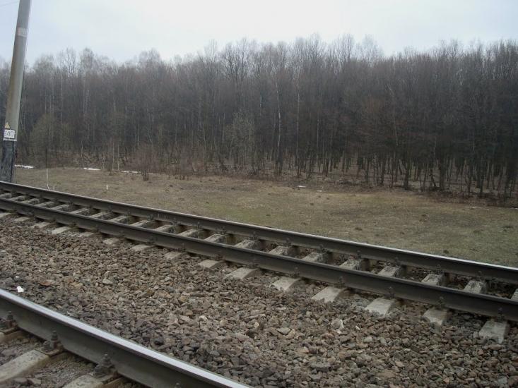 Слобода-Межирівська з panoramio.com - Sloboda-Mezhyrivska