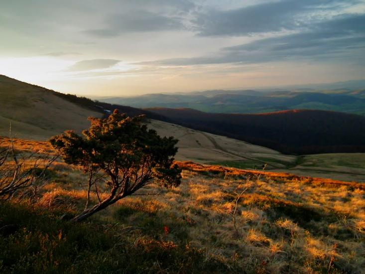 Буковець з panoramio.com - Буковец