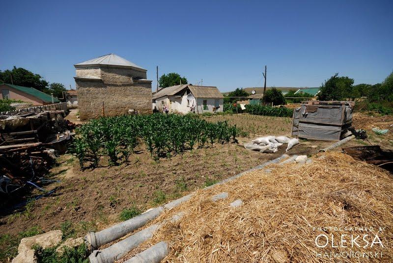 Айвове з panoramio.com - Айвовое