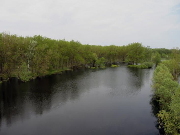 Остер з panoramio.com - Остер