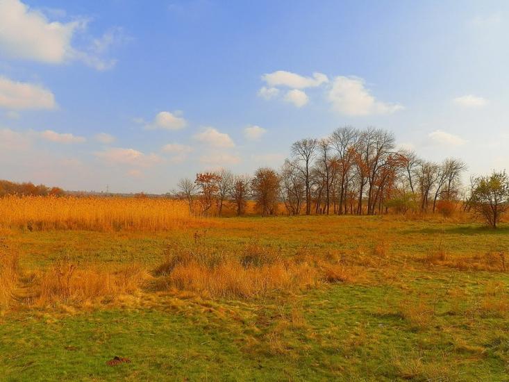 Нижня Кринка з panoramio.com - Нижняя Крынка