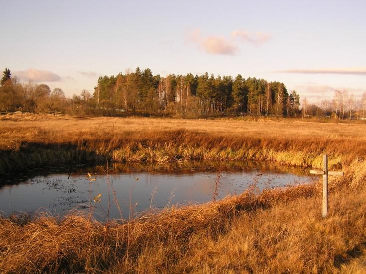 Ушиця з panoramio.com - Ушица