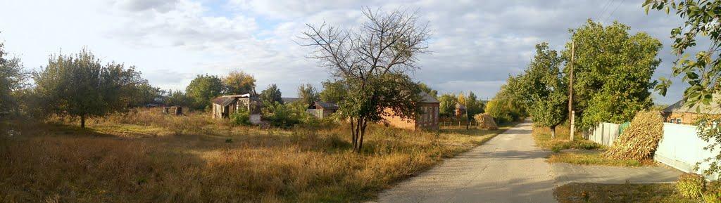 Билбасівка з panoramio.com - Билбасівка