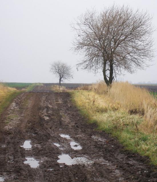 Угнів з panoramio.com - Ugniv