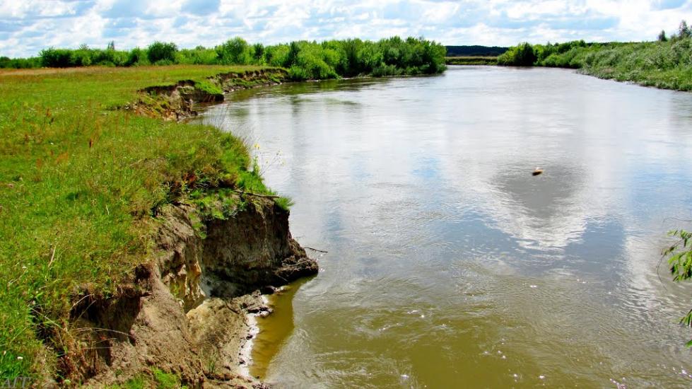 Кураш з panoramio.com - Кураш