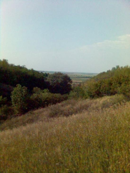 Врадіївка з panoramio.com - Врадиевка