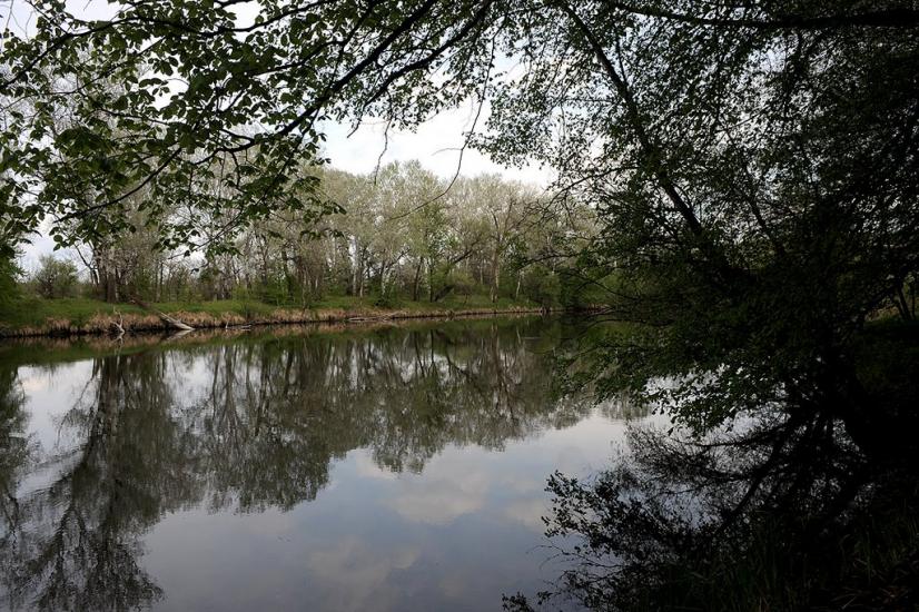 Богородичне з panoramio.com - Богородичное