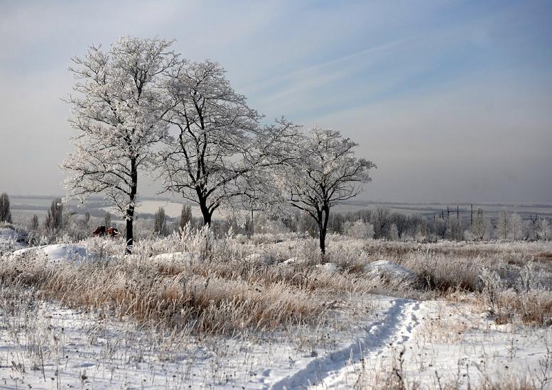 Дзержинськ з panoramio.com - Dzerzhynsk
