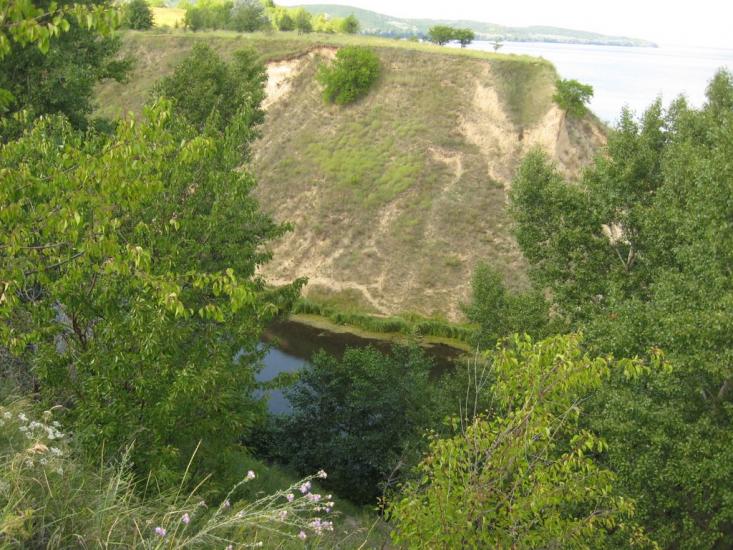 Григорівка з panoramio.com - Григоровка