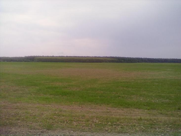 Головлі з panoramio.com - Головли