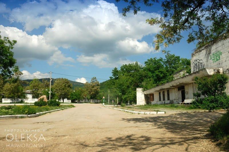 Новобобрівське з panoramio.com - Новобобровское