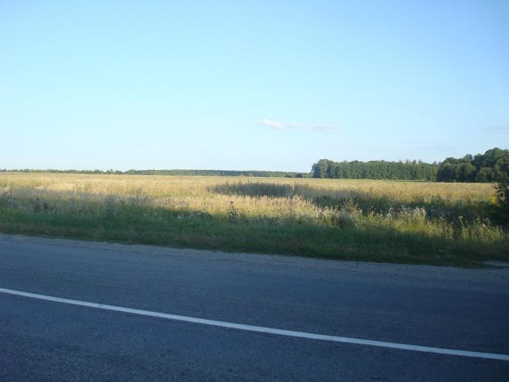 Дубіївка з panoramio.com - Dubiyivka