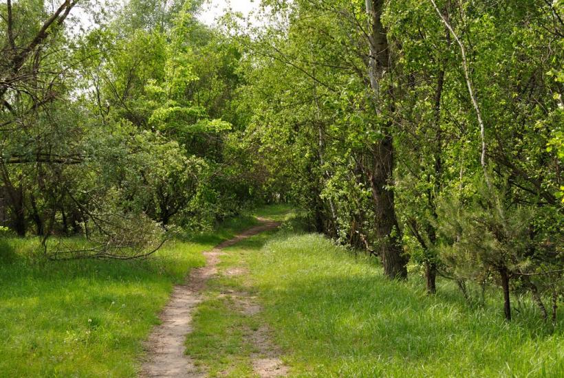 Капітанівка з panoramio.com - Капитановка
