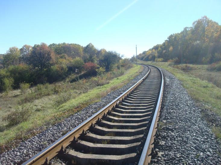 Радісне з panoramio.com - Радостное