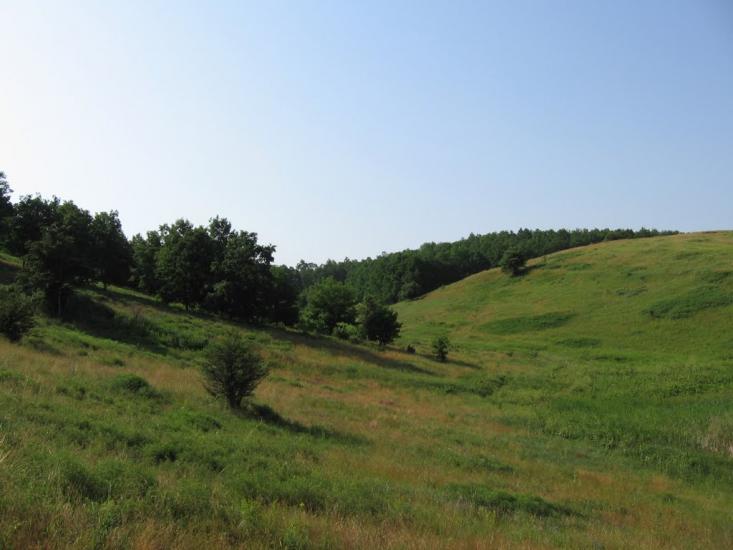 Таранівка з panoramio.com - Тарановка