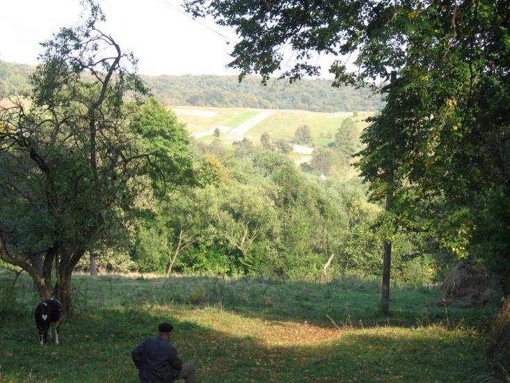 Лісопотік з panoramio.com - Lisopotik