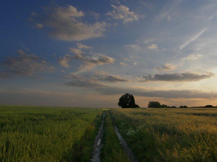 Угнів з panoramio.com - Угнев