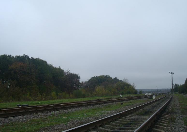 Буйволівці з panoramio.com - Буйволівці