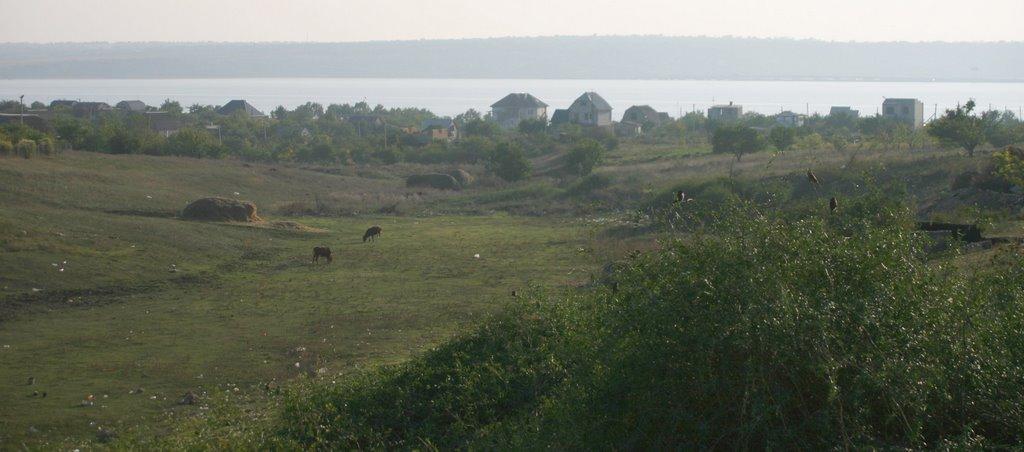 Чоботарівка з panoramio.com - Чоботарівка