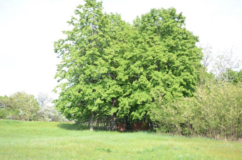 Замірці з panoramio.com - Замірці