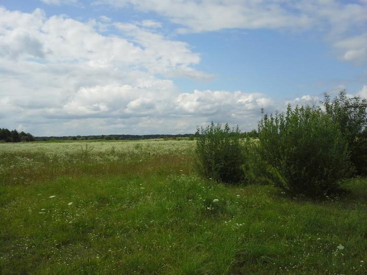 Вирка з panoramio.com - Vyrka