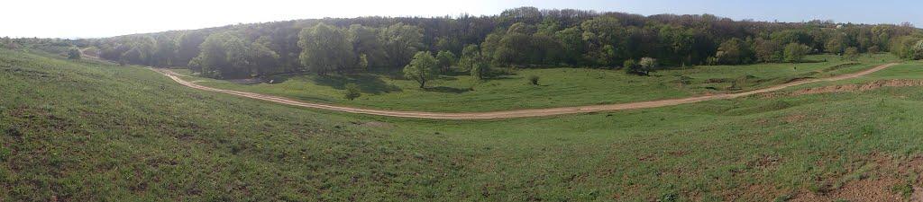 Вергулівка з panoramio.com - Вергулівка