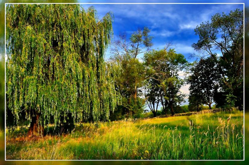 Олександрівка з panoramio.com - Олександрівка