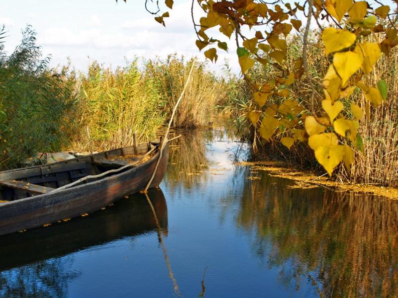 Сухолужжя з panoramio.com - Сухолужжя