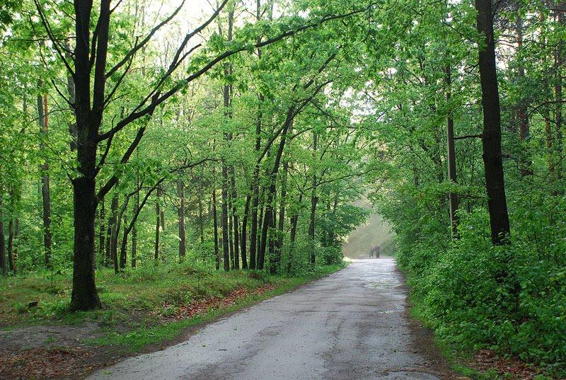 Довжик з panoramio.com - Довжик