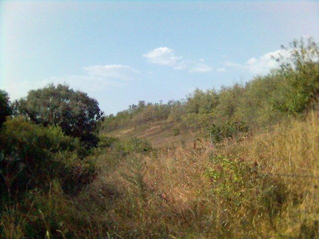 Врадіївка з panoramio.com - Врадиевка