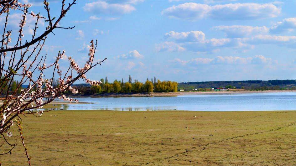 Старий Айдар з panoramio.com - Staryy Aydar