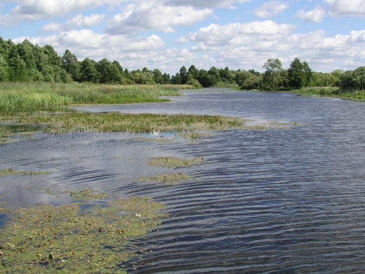 Стобихва з panoramio.com - Стобихва