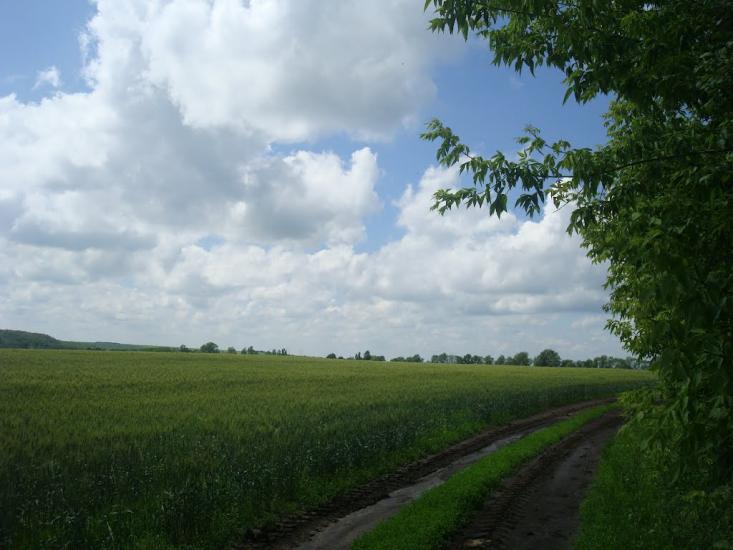 Грузевиця з panoramio.com - Грузевиця
