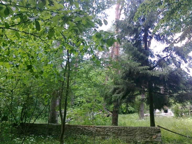 Житомир з panoramio.com - Житомир