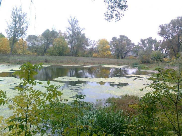 Солоницівка з panoramio.com - Солоницівка