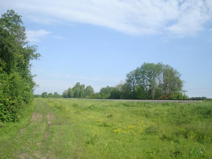 Мокіївці з panoramio.com - Мокіївці