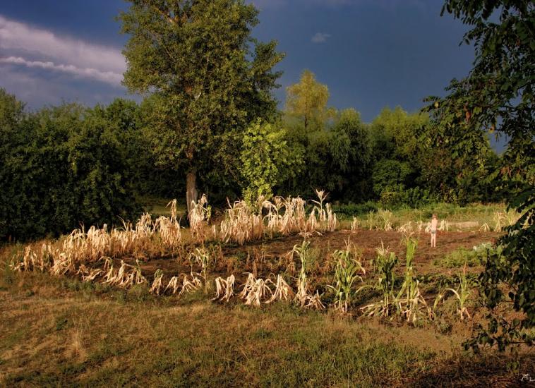 Нижня Мануйлівка з panoramio.com - Нижняя Мануйловка